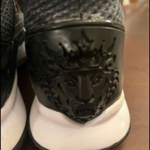 Le Ron James Nike basketball shoes